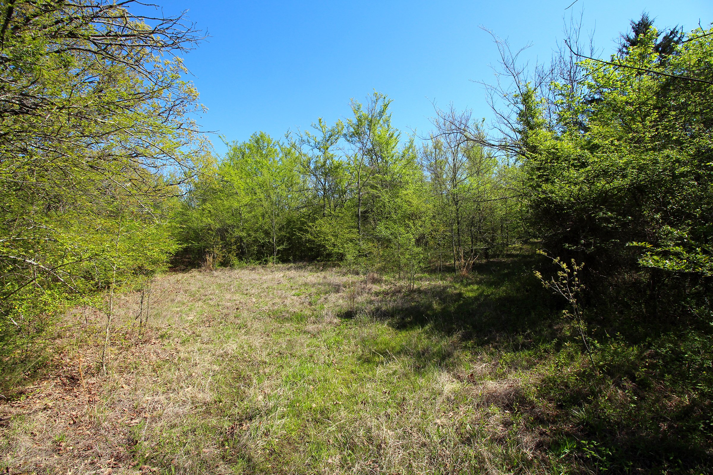 <B>Located within the City Limits of Okmulgee and adjacent to the Oklahoma State University Institute of Technology</b>, this property offers a lot of potential for investors. With 153.73 acres available, there is an investment opportunity for this property! The property has frontage on the north along E 4th Street and US Highway 62 on the southern boundary, along the east and west sides are numerous access points provided by city streets. Multiple ponds are present on the property, which could make very attractive water features. Mature timber, open grassy areas and dense foliage make up the balance of the property, creating an opportunity for a very private setting within city limits.  - 153 Total Acres in Okmulgee, Oklahoma